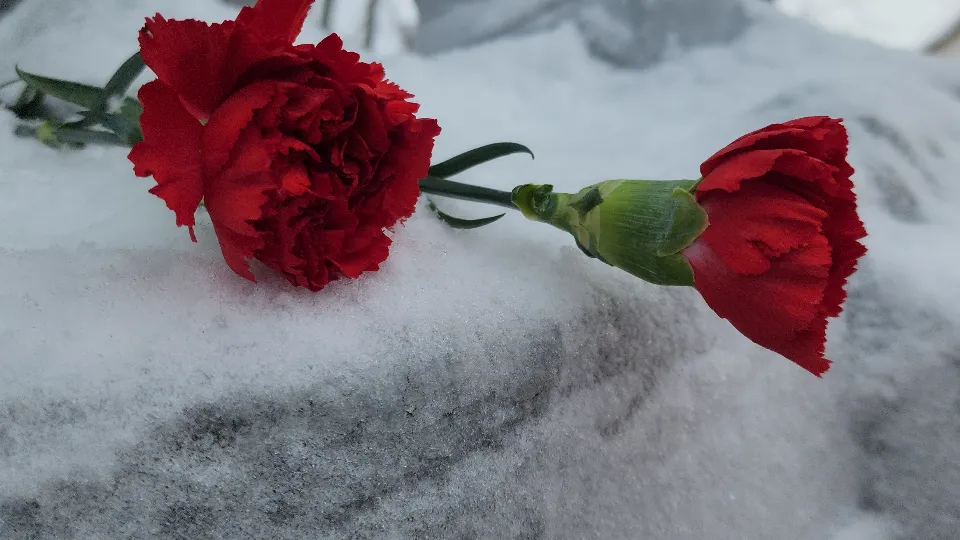 Фото: МедиаБанк Подмосковья/Екатерина Данилина