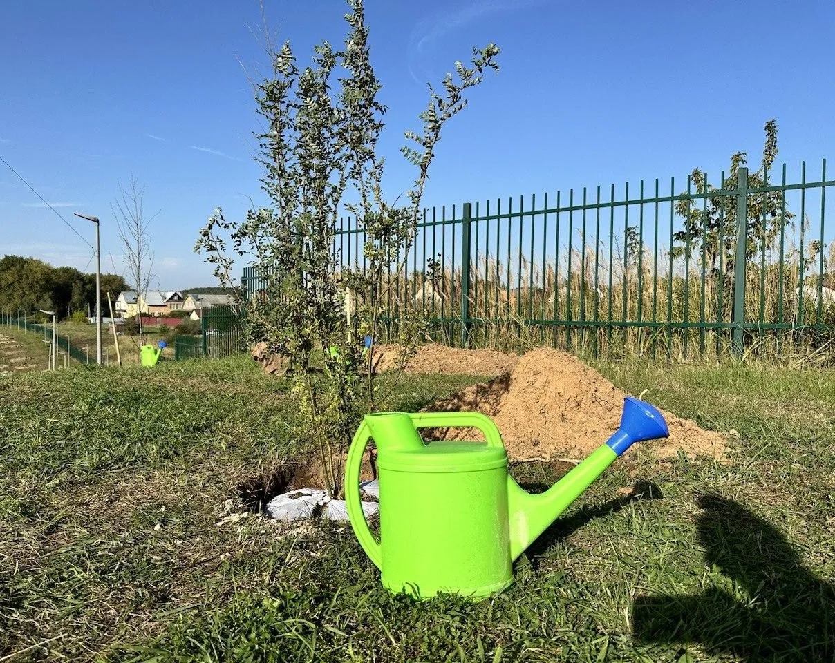 Картинка