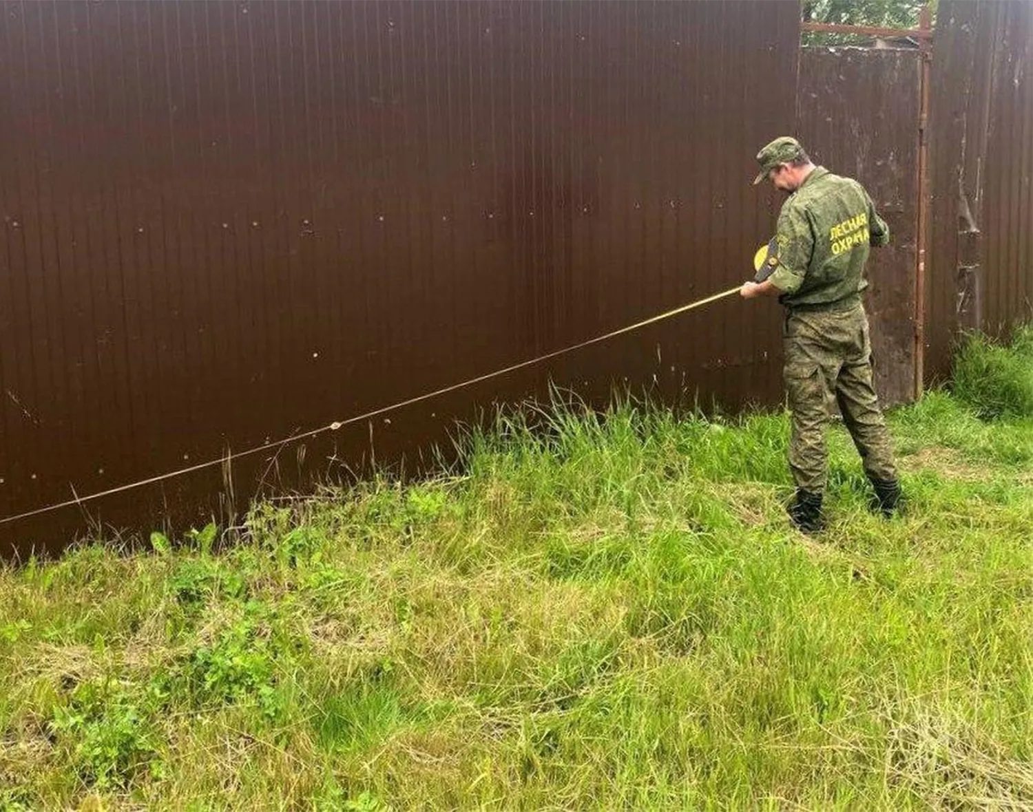 Фото: Комитет лесного хозяйства Московской области