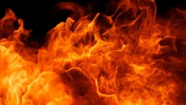 медиасток.рф