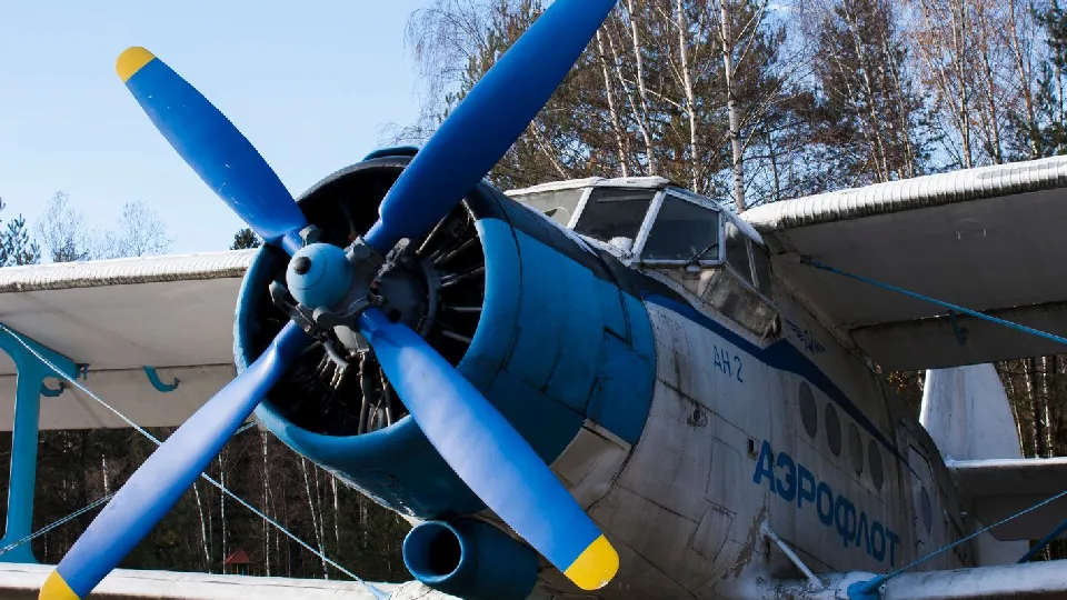 Фото: медиасток.рф