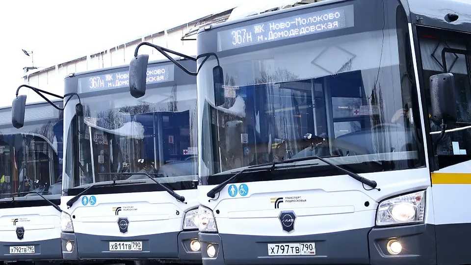 Фото: медиасток.рф