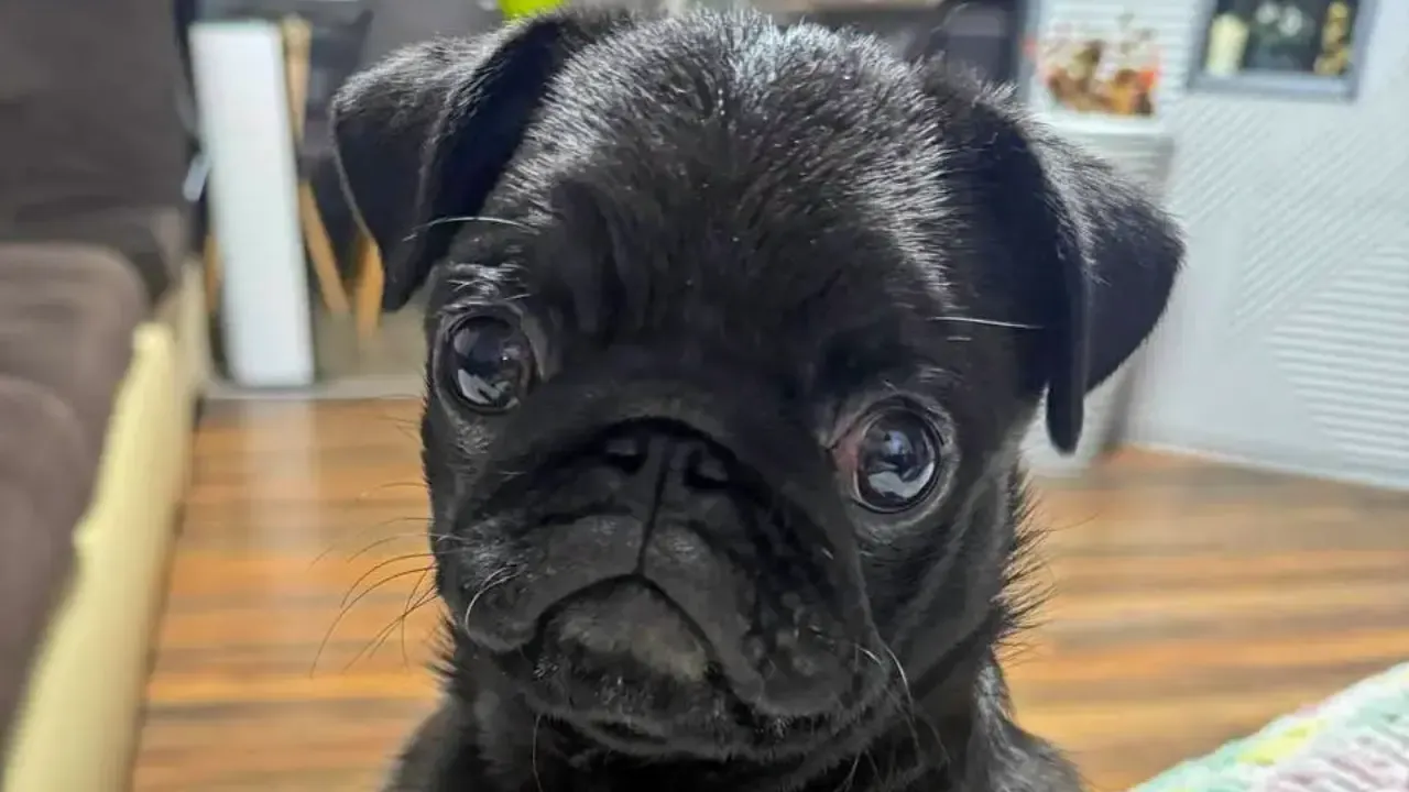 REGIONS/Анастасия Малышенко