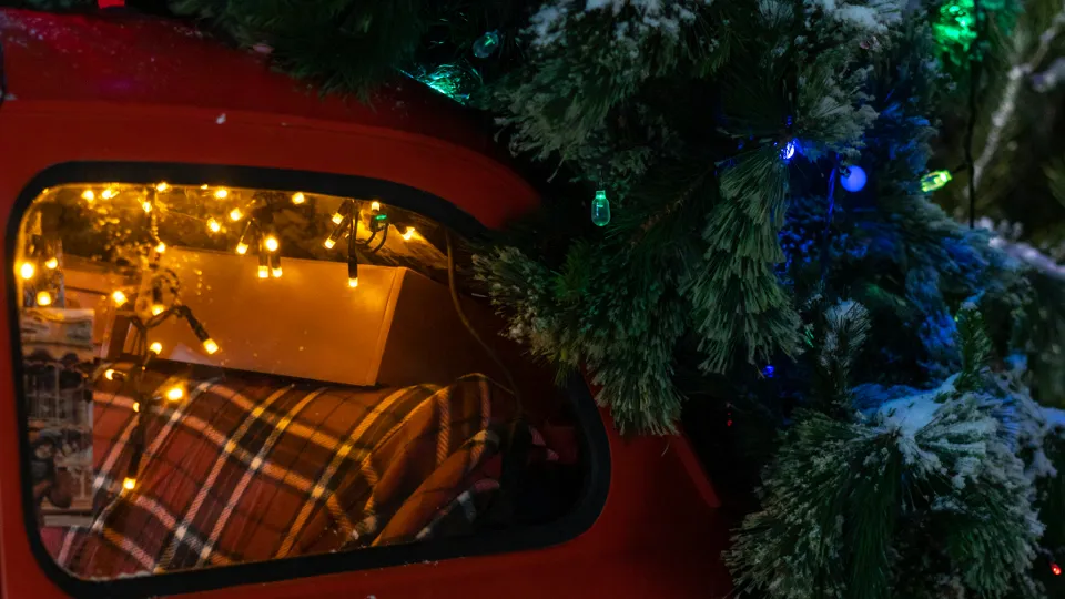 Фото: istockphoto.com/Riakhin Anton