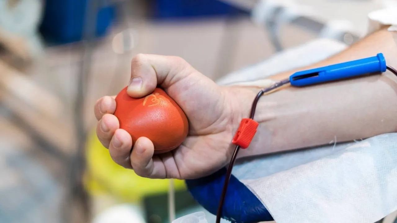 Фото: пресс-служба администрации г. о. Домодедово