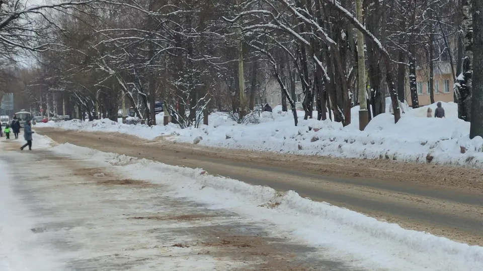 Фото: МедиаБанк Подмосковья/Арина Кузнецова