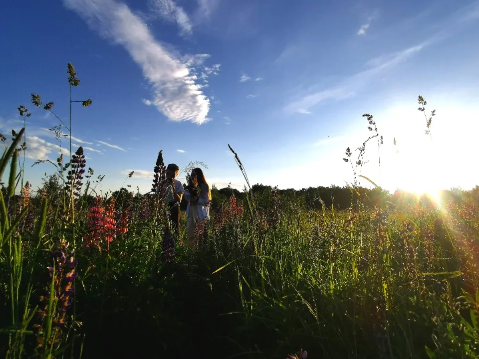 Фото: МедиаБанк Подмосковья/Галина Добрынина