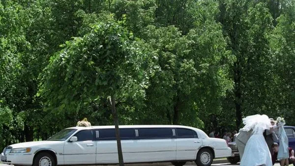 В Петербурге задержали мужчину, который стрелял из автомобиля свадебного кортежа