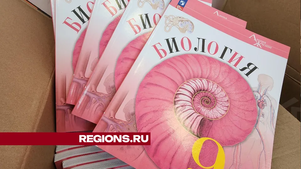 Фото: Екатерина Данилина