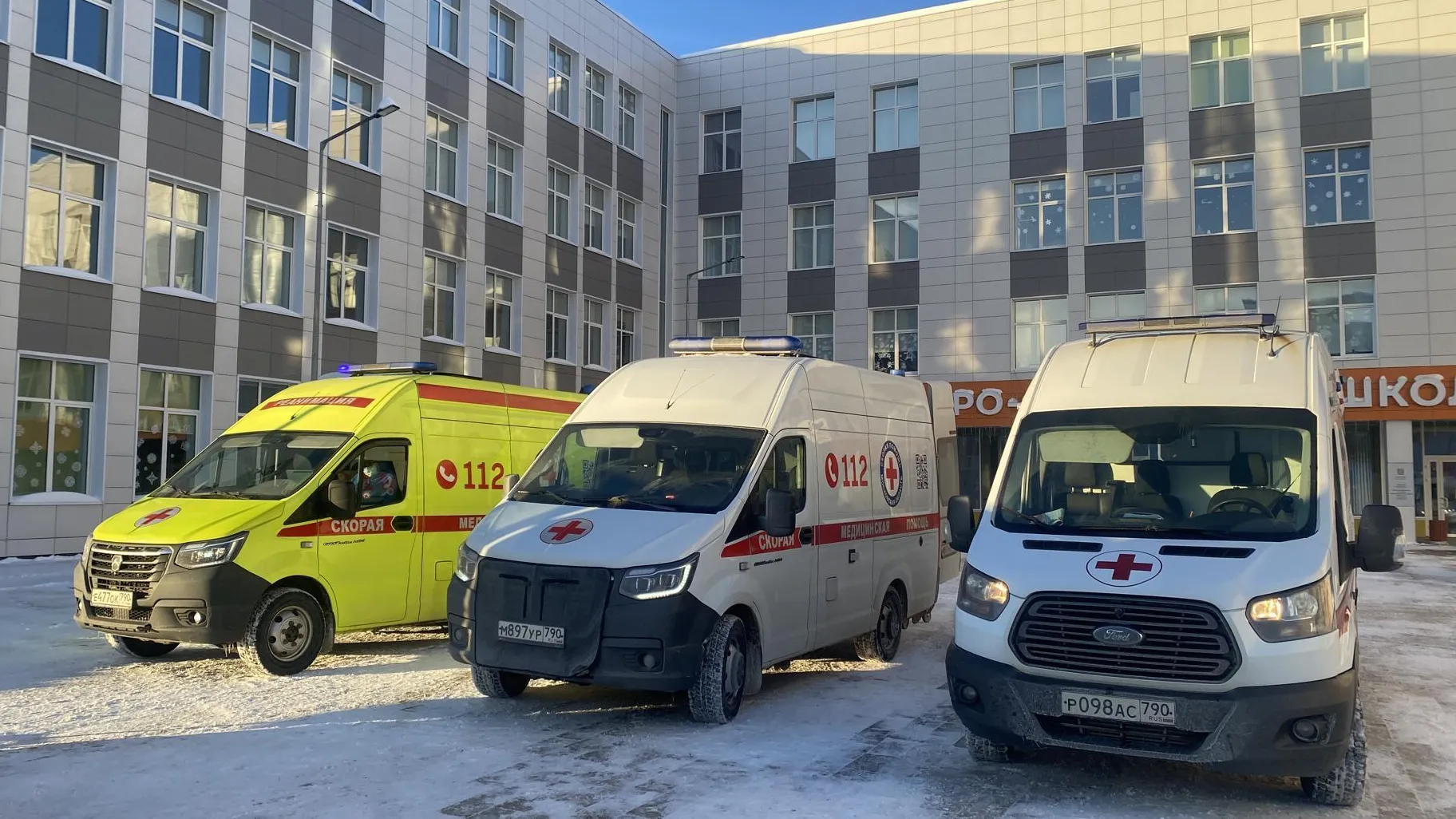 Анна Артюшина