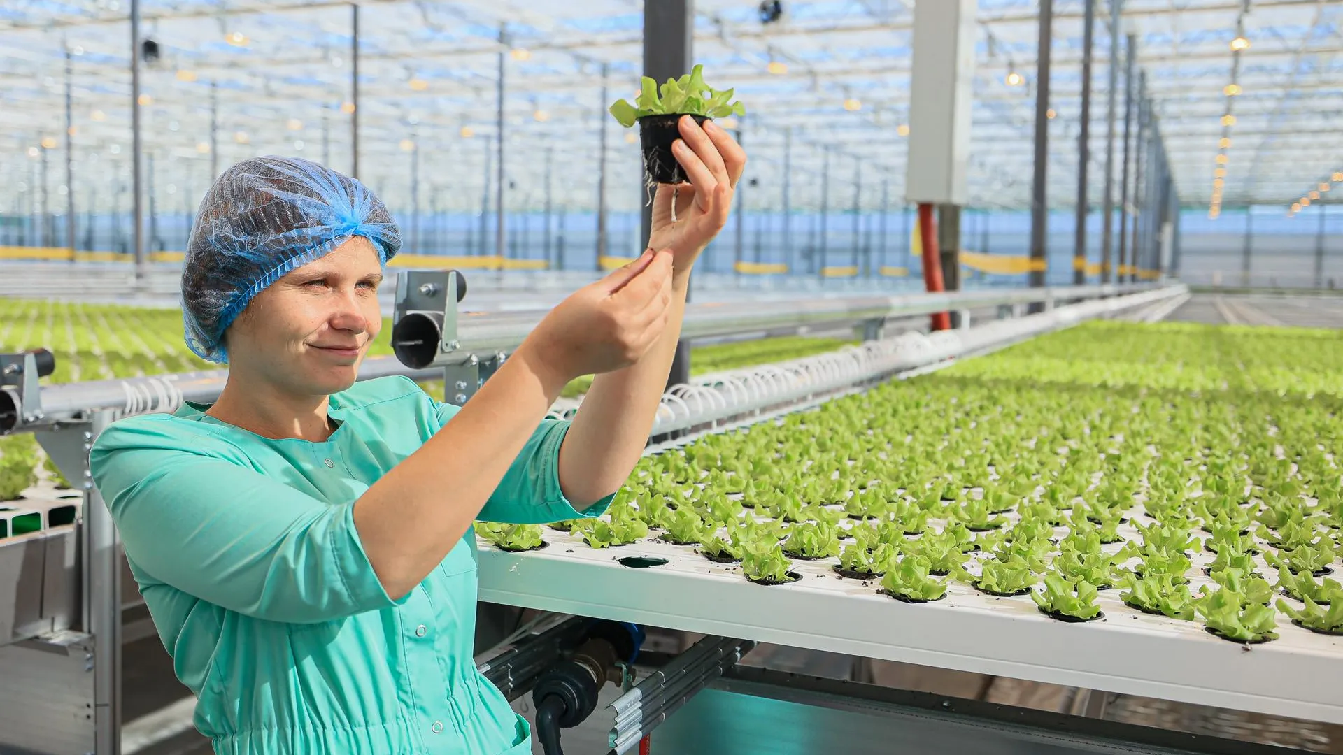 Почти 500 млн рублей субсидий получили сельхозпредприятия Рязанской области с начала года