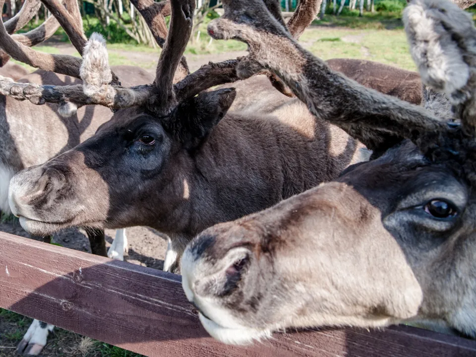 Фото: медиасток.рф