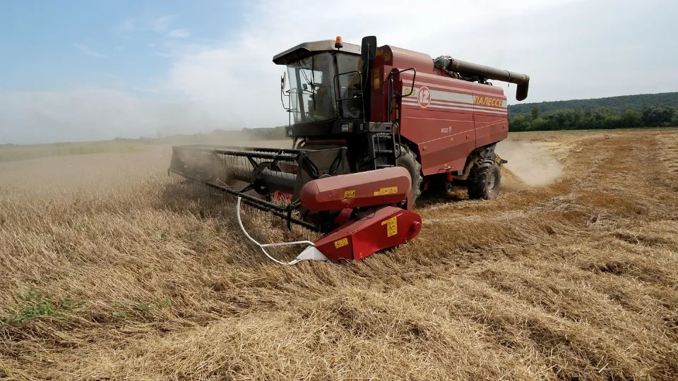 Фото: медиасток.рф