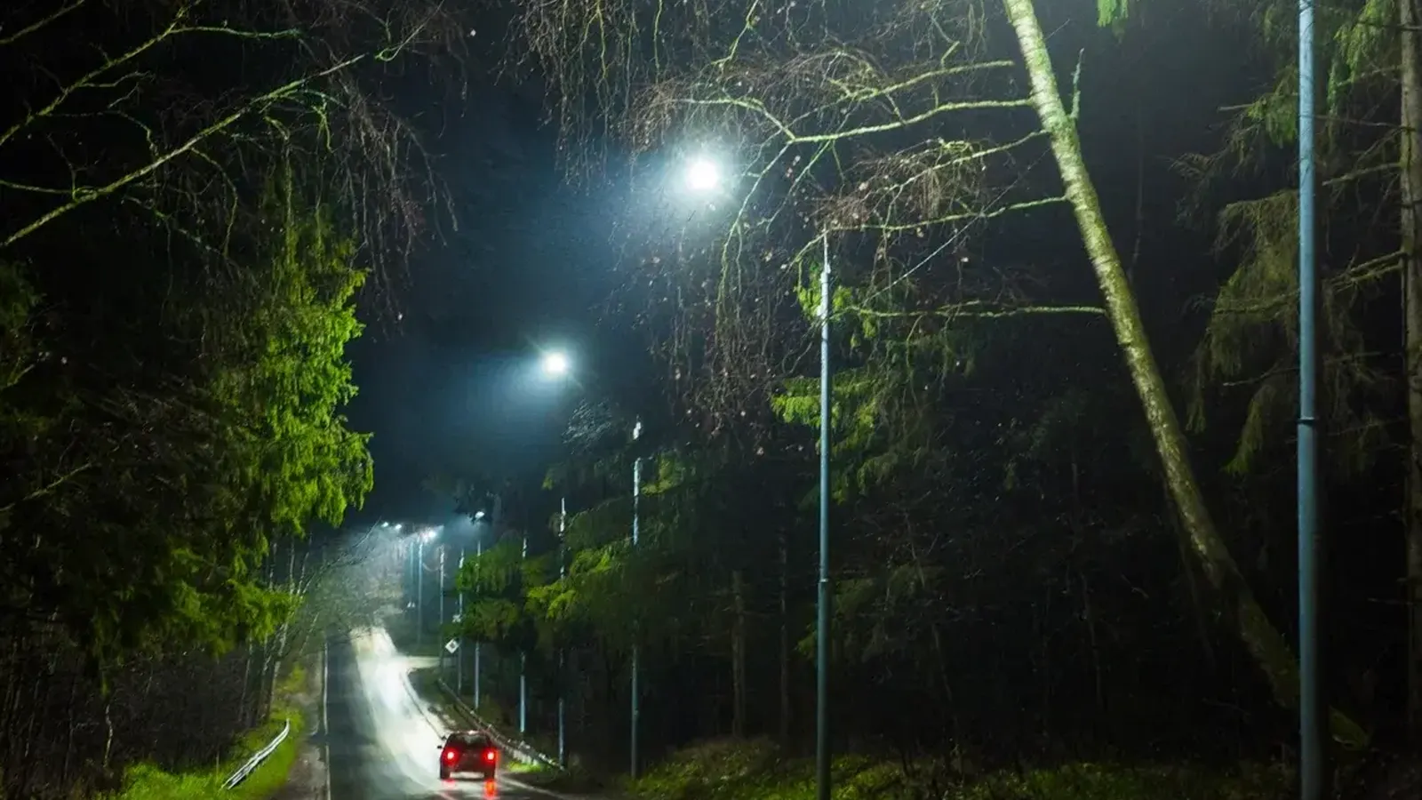 Фото: Министерство благоустройства МО