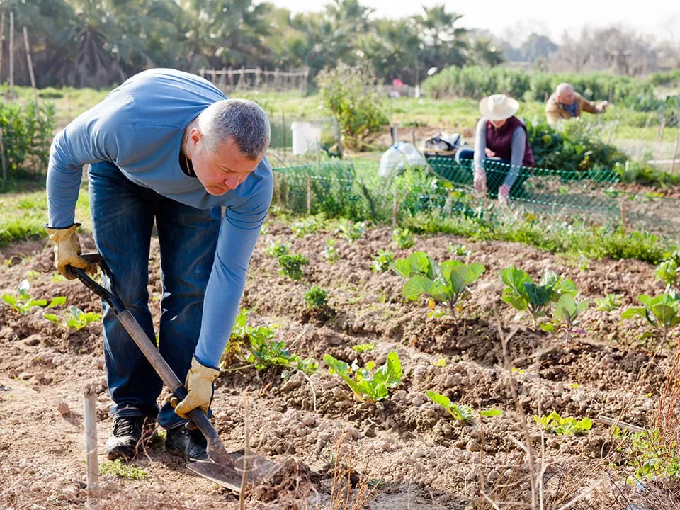 &nbsp; Фото: istockphoto.com