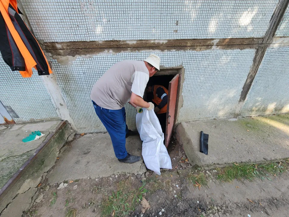 Фото: Медиабанк Подмосковья/Дмитрий Алексеенко