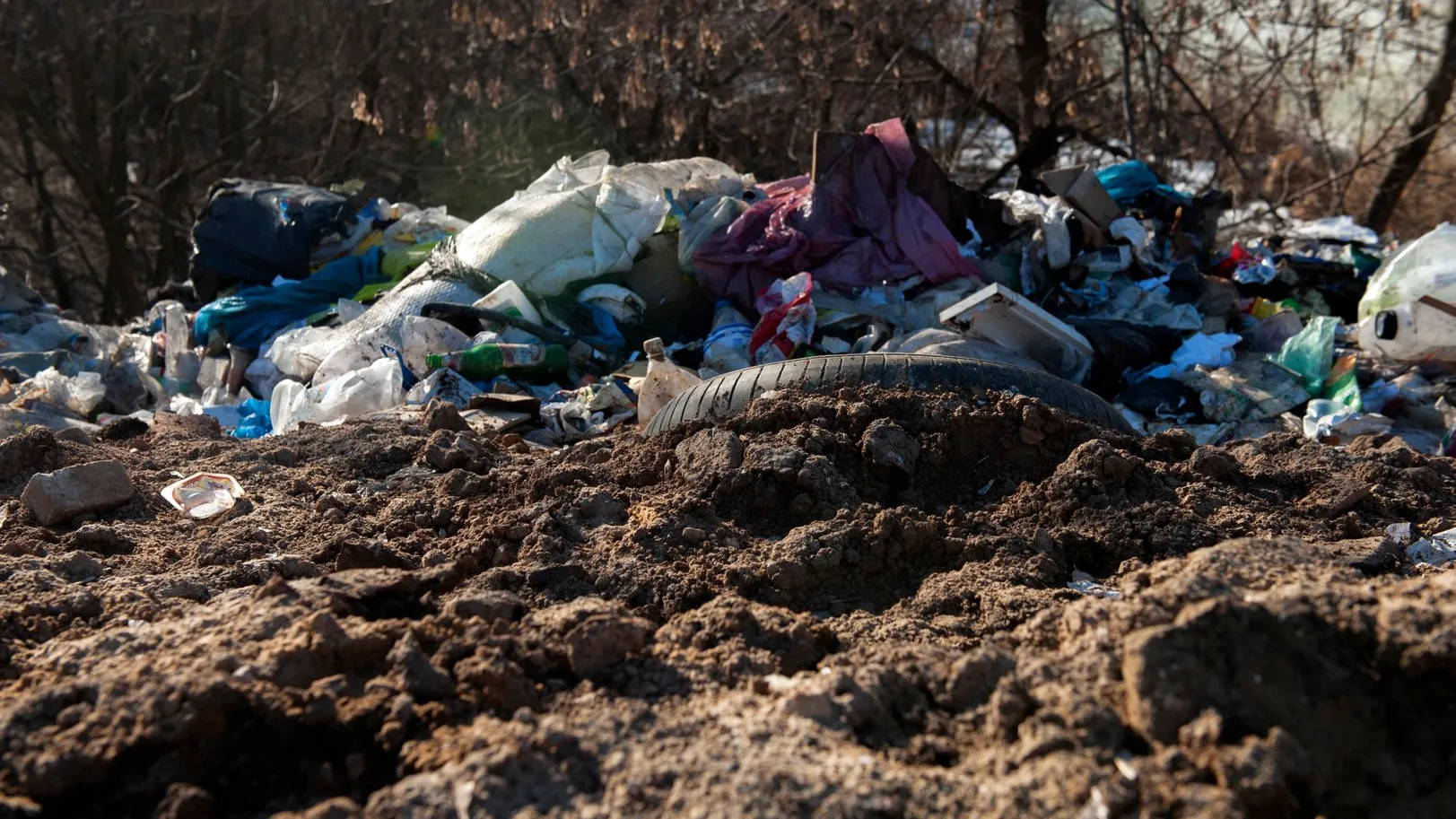 Фото: Медиаархив Подмосковья