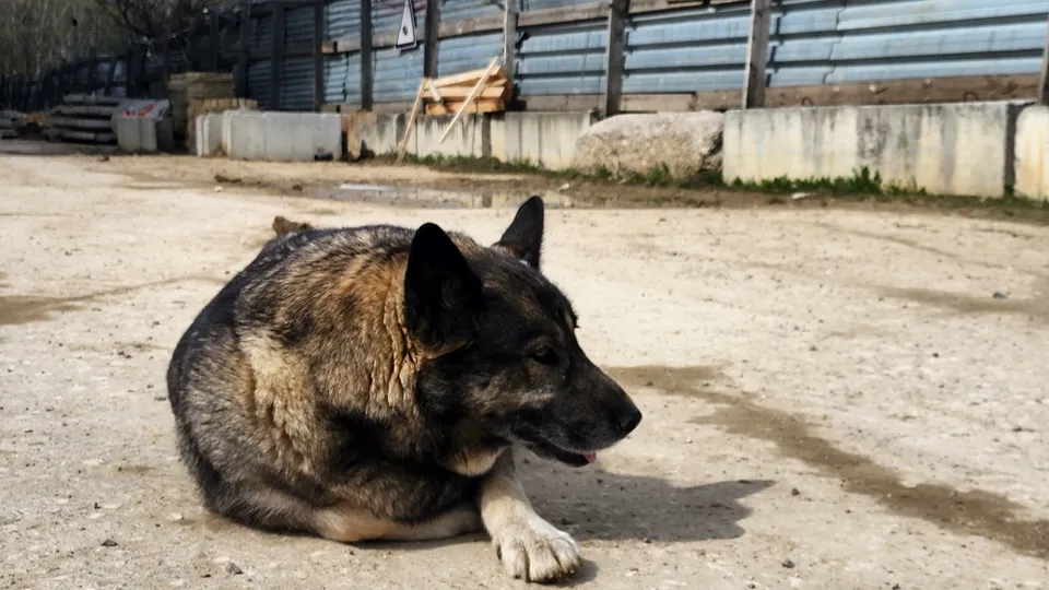 Фото: REGIONS/Наталия Надточая