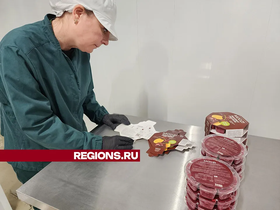 Фото: МедиаБанк Подмосковья/Екатерина Мелкозерова