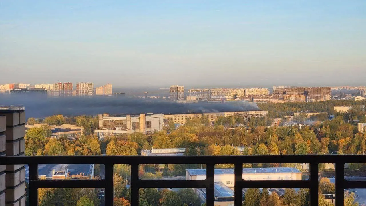 Фото: социальные сети