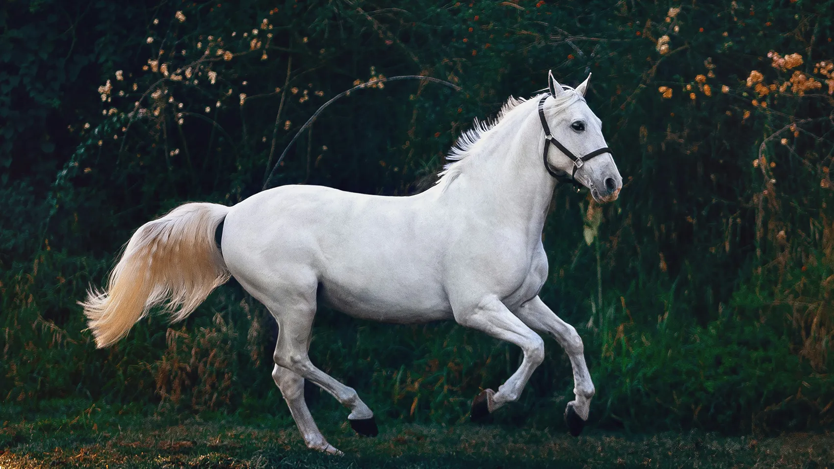 Фото: unsplash.com