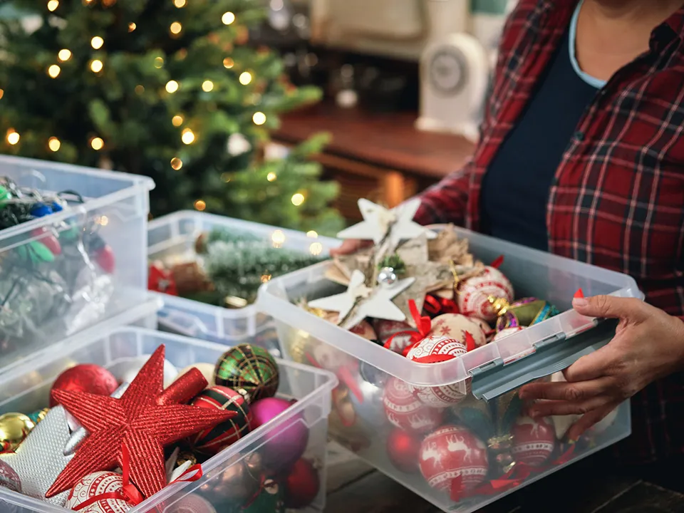 Фото: istockphoto.com/GMVozd