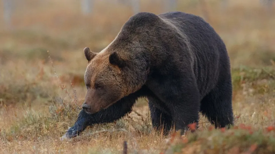 Фото: freepik.com