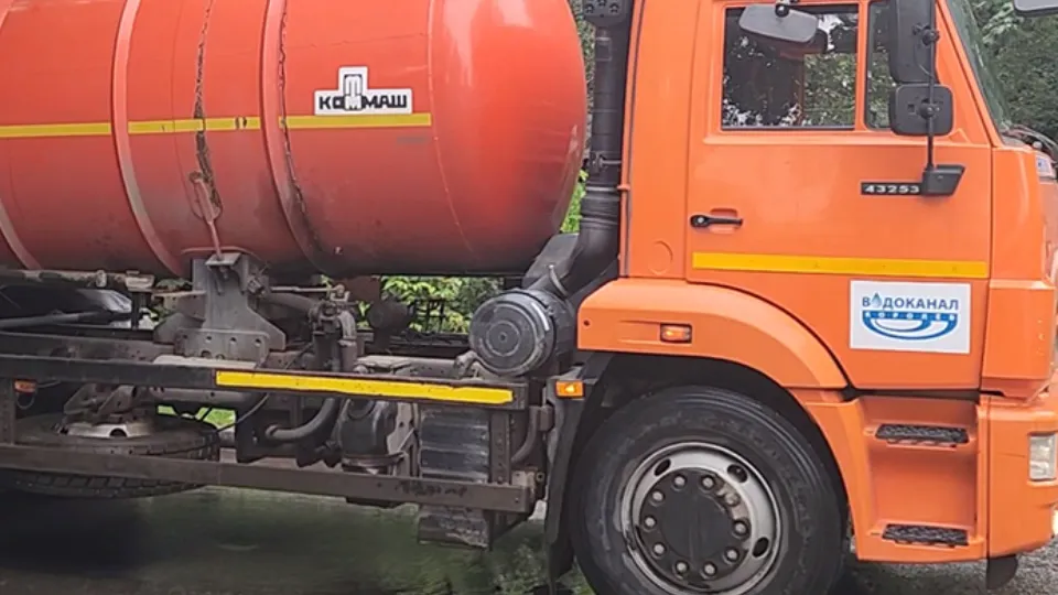 Фото: МедиаБанк Подмосковья/Роман Савельев