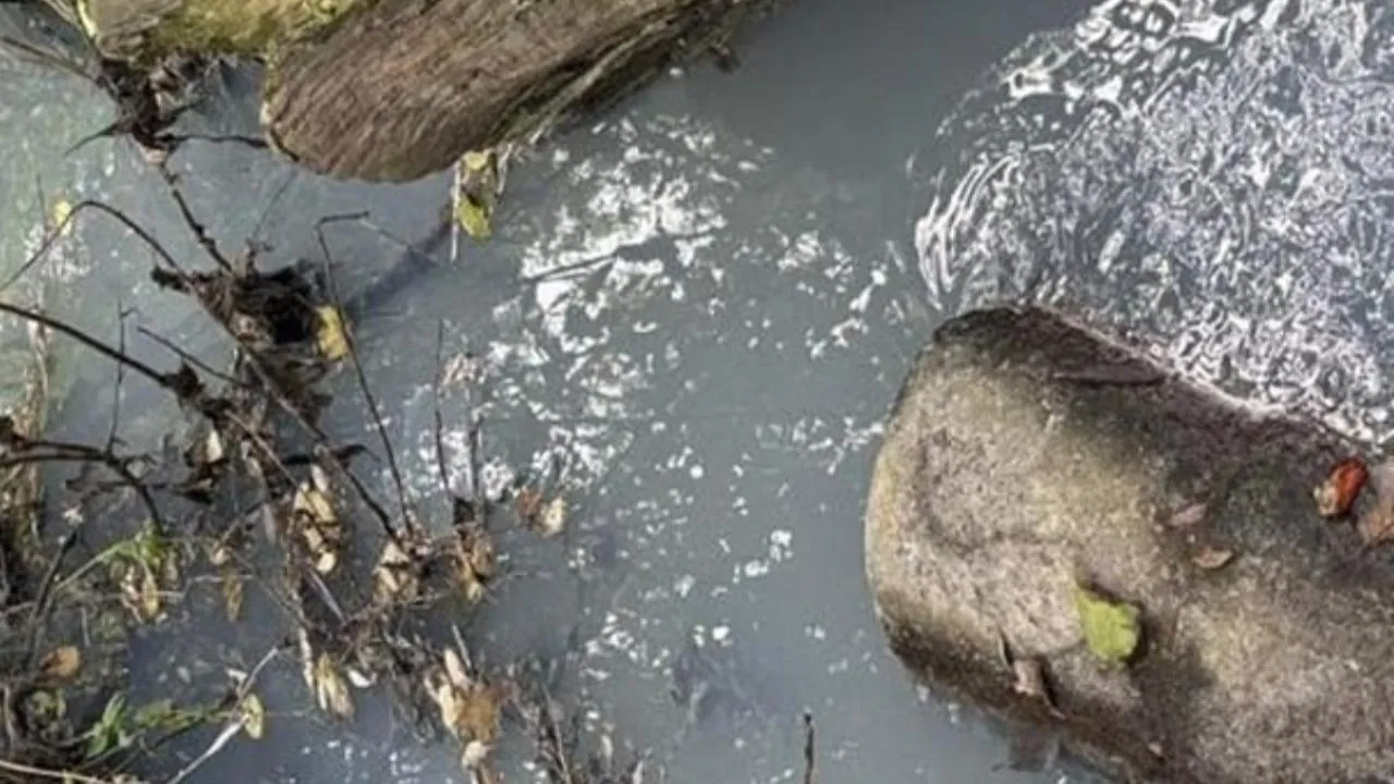 Министерство экологии и природопользования Московской области