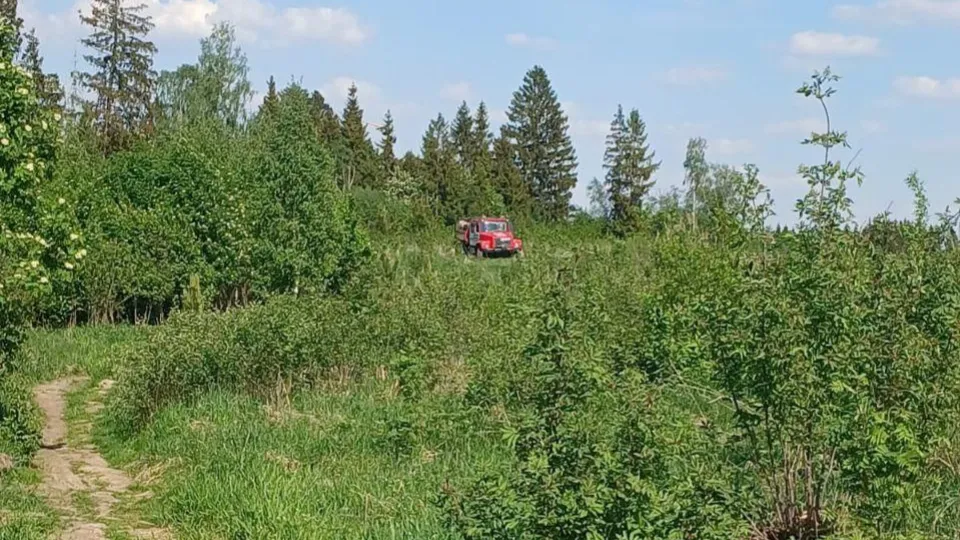 Фото: Комитет лесного хозяйства Московской области