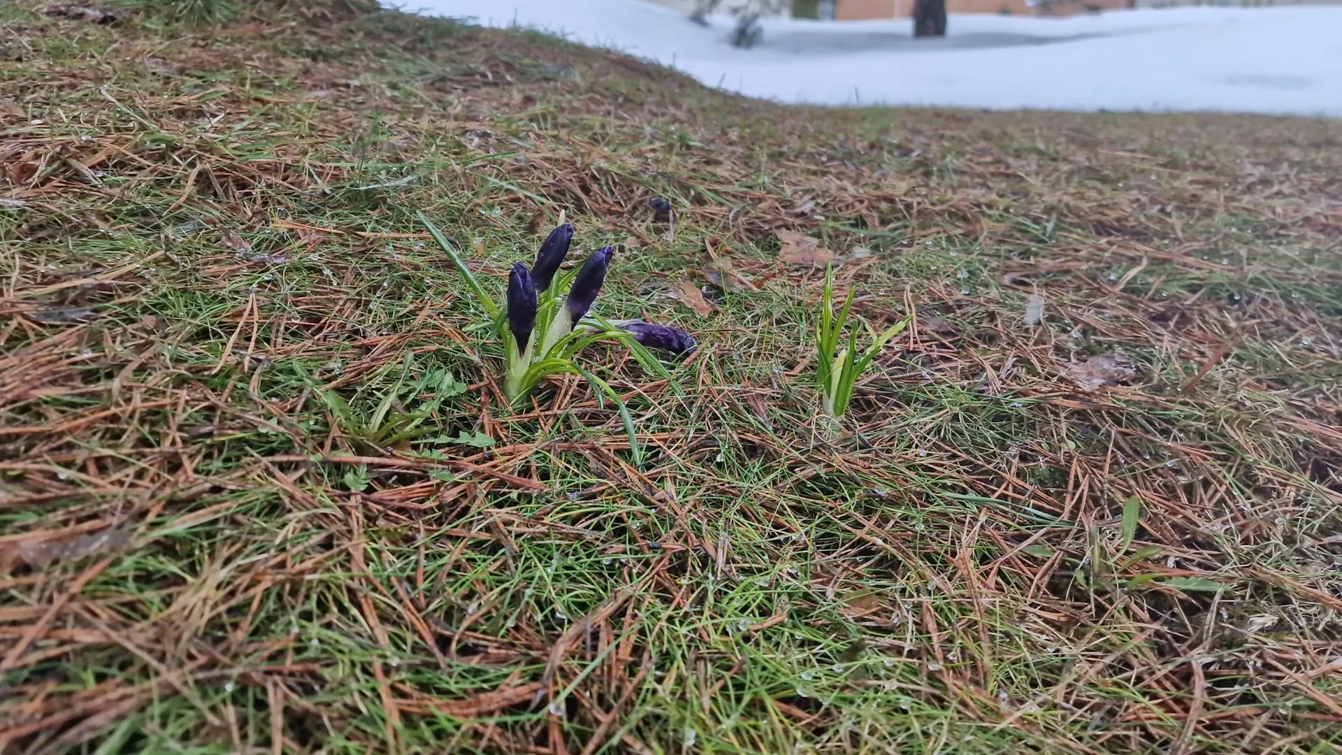 REGIONS/Анастасия Игнатова