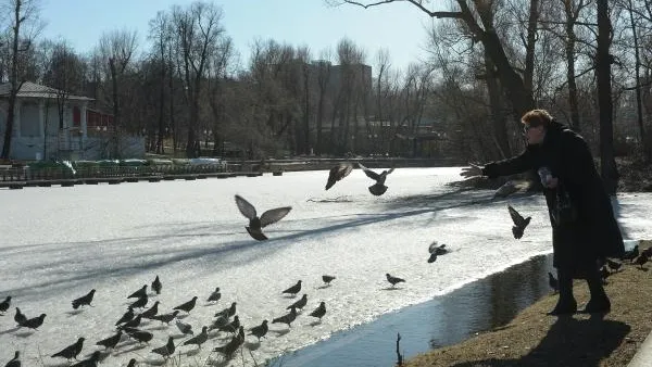 Облачная погода и до 6 градусов тепла ожидается в столичном регионе в субботу