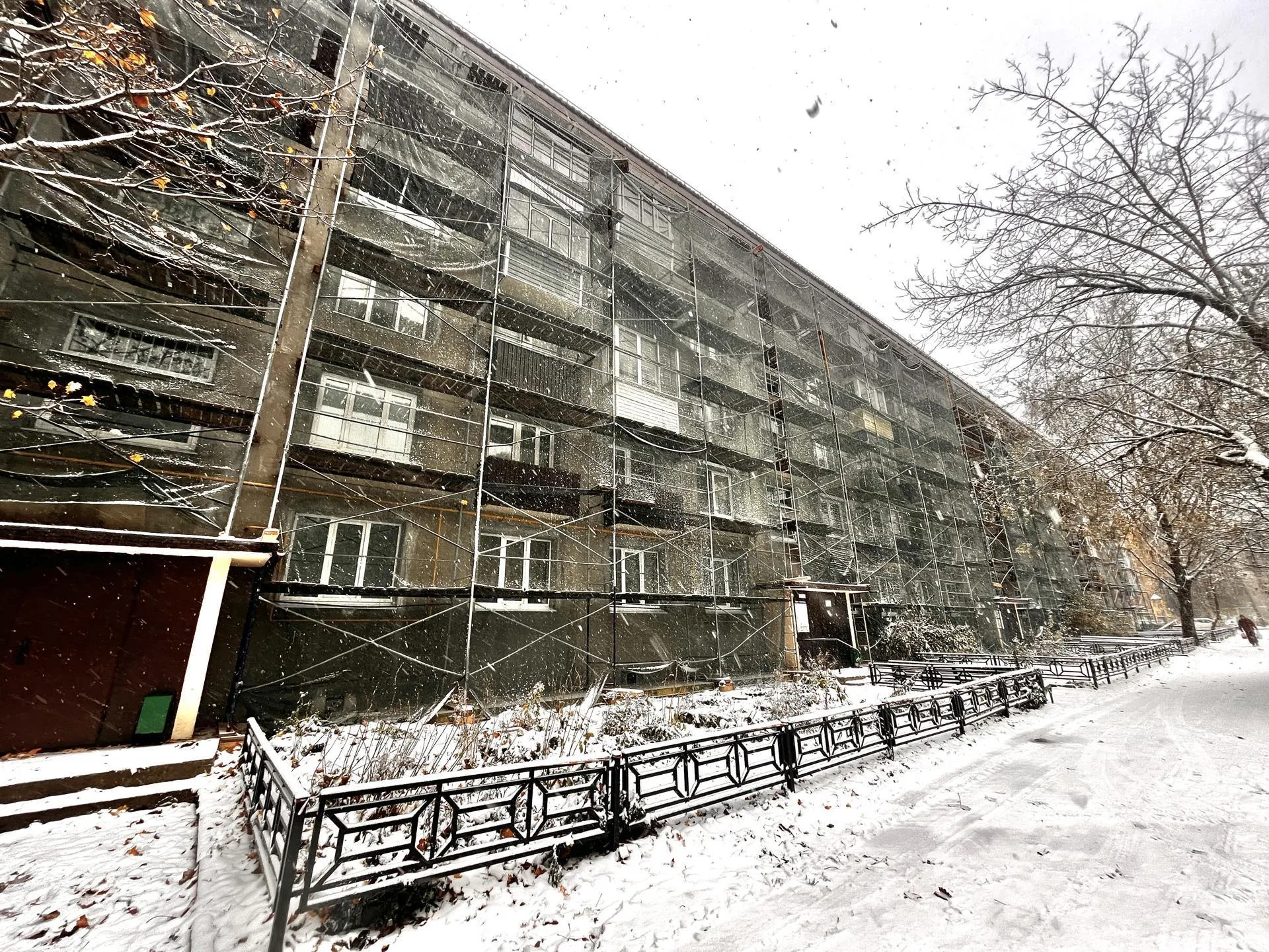 Фото: Дарья Московцева