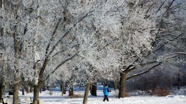 По-настоящему зимняя погода ждет жителей столичного региона в праздничные дни