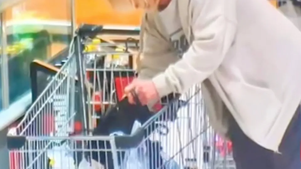 Фото: Росгвардия Московской области