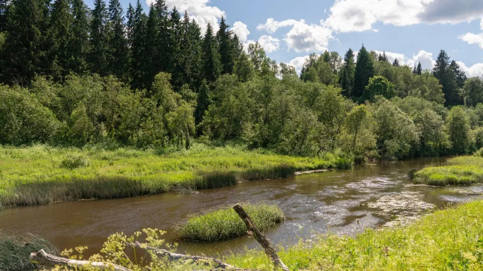 Фото: www.медиасток.рф