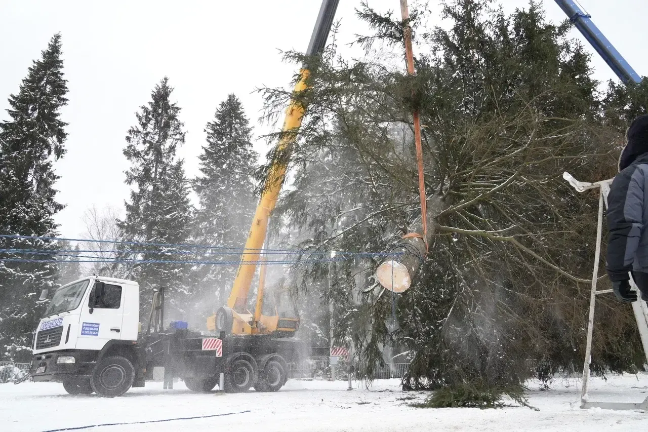 Автор фото: Дмитрий Белицкий