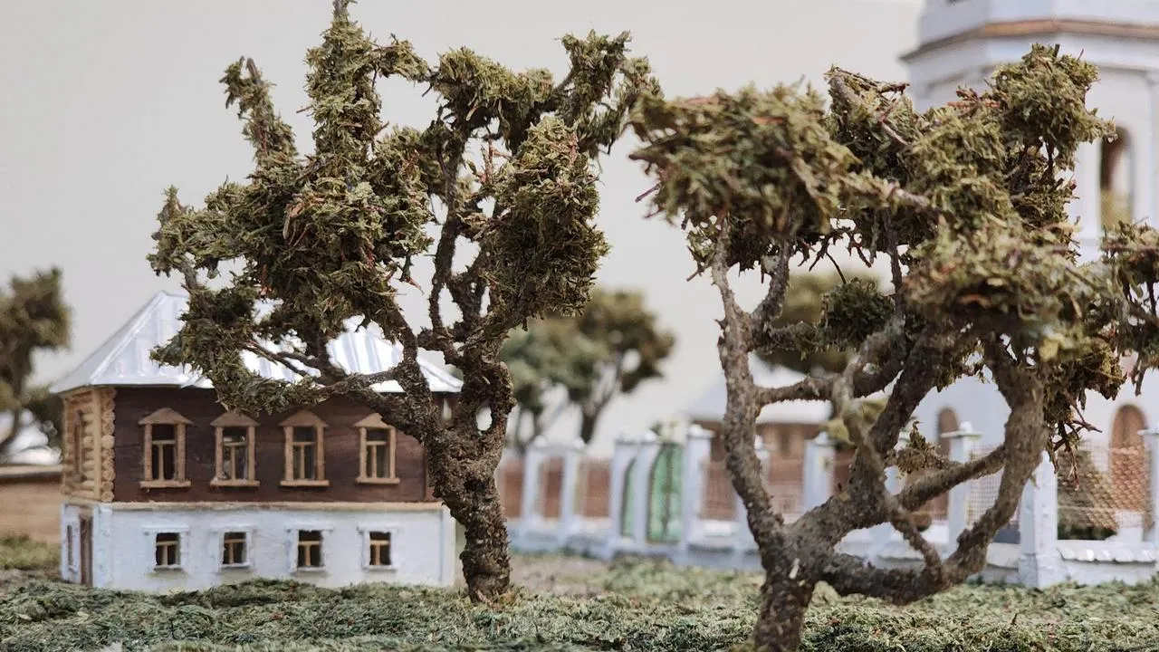 МедиаБанк Подмосковья/Анна Шолохова