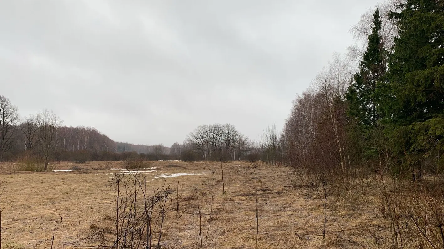 Фото: МедиаБанк Подмосковья/Лилия Закирова