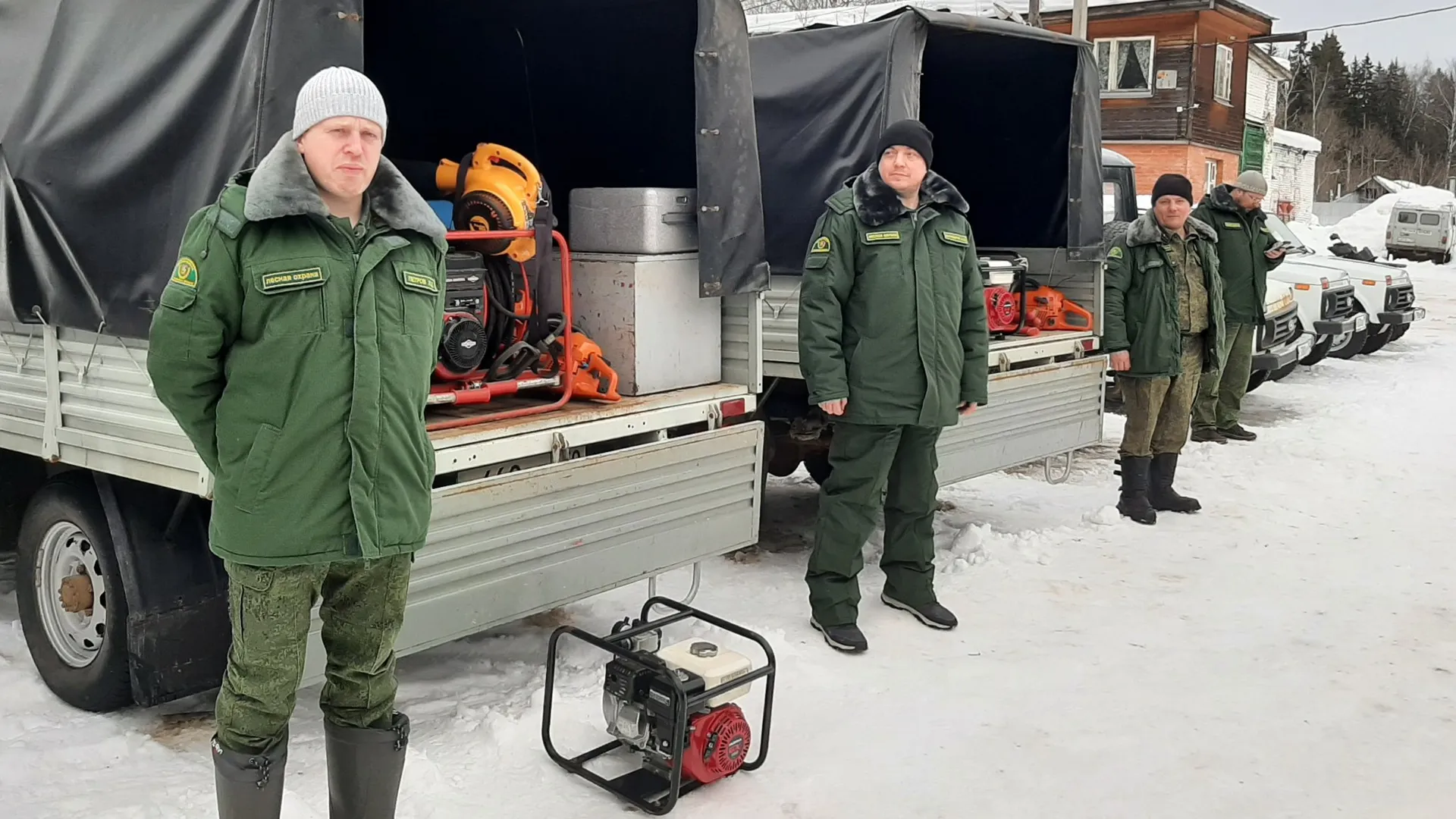 Фото: пресс-служба Комитета лесного хозяйства Московской области