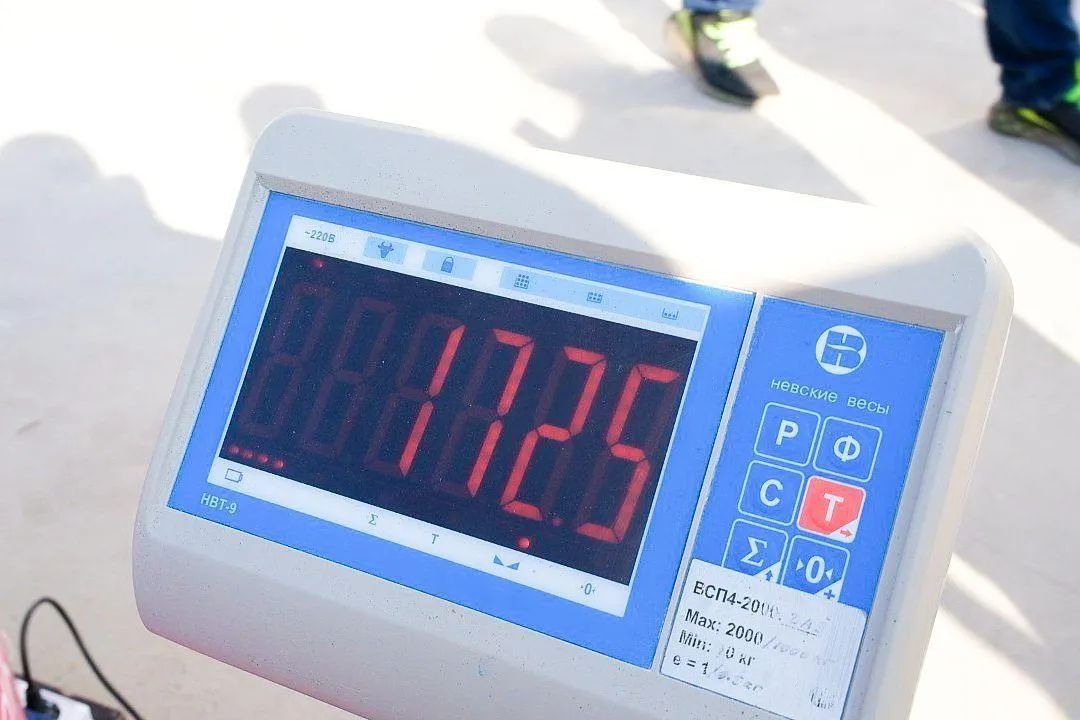 Фото: Антон Шаманин