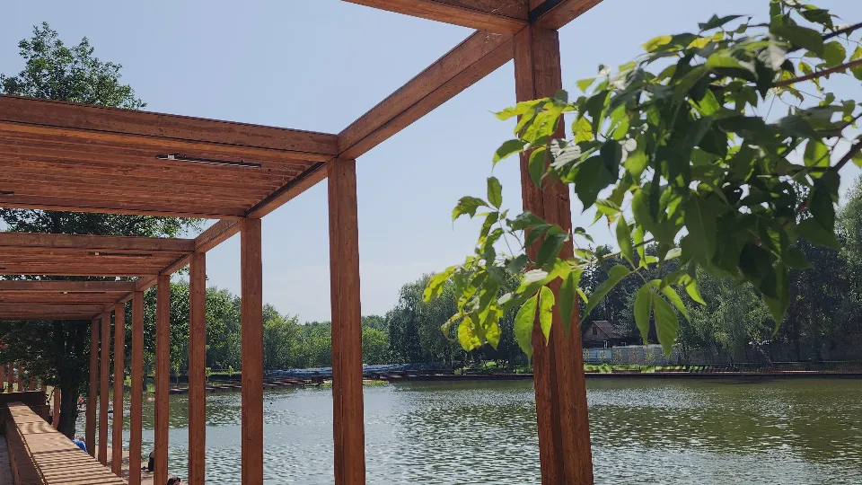 Фото: МедиаБанк Подмосковья/Валерия Тингаева