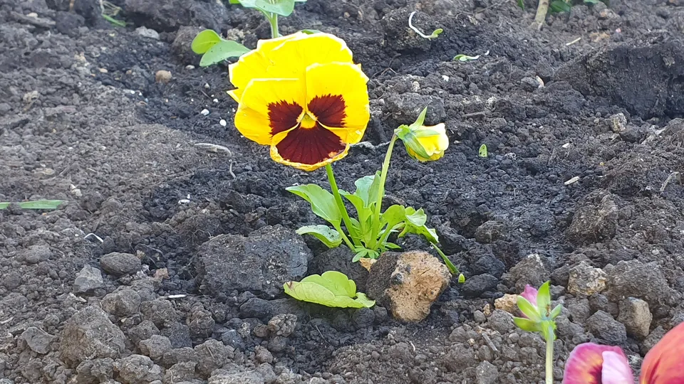 Фото: REGIONS/Наталия Надточая