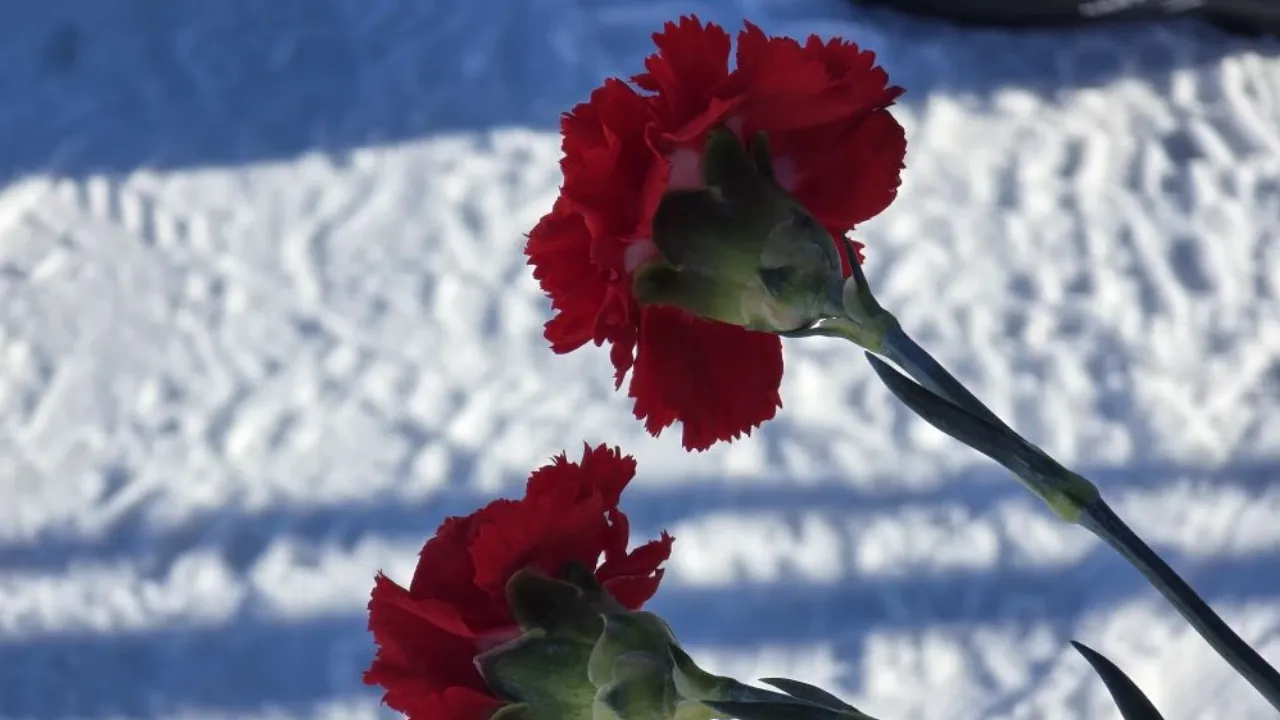 REGIONS/Яна Шаливская