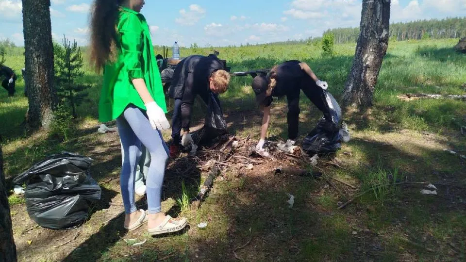 Фото: Комитет лесного хозяйства Московской области