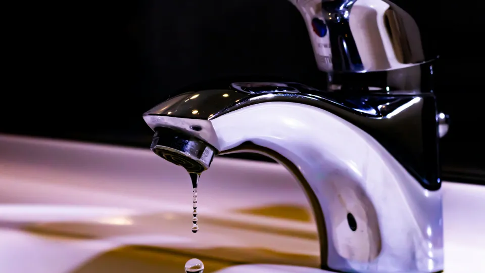 Фото: unsplash.com