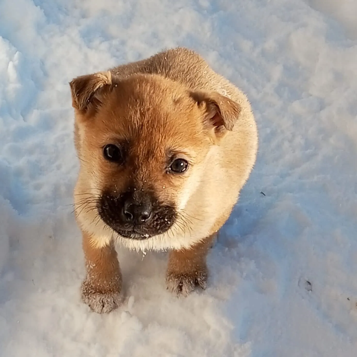 Фото: Подслушано Истра (новая) / ВКонтакте
