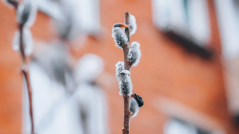 Фото: Данила Кирьянов