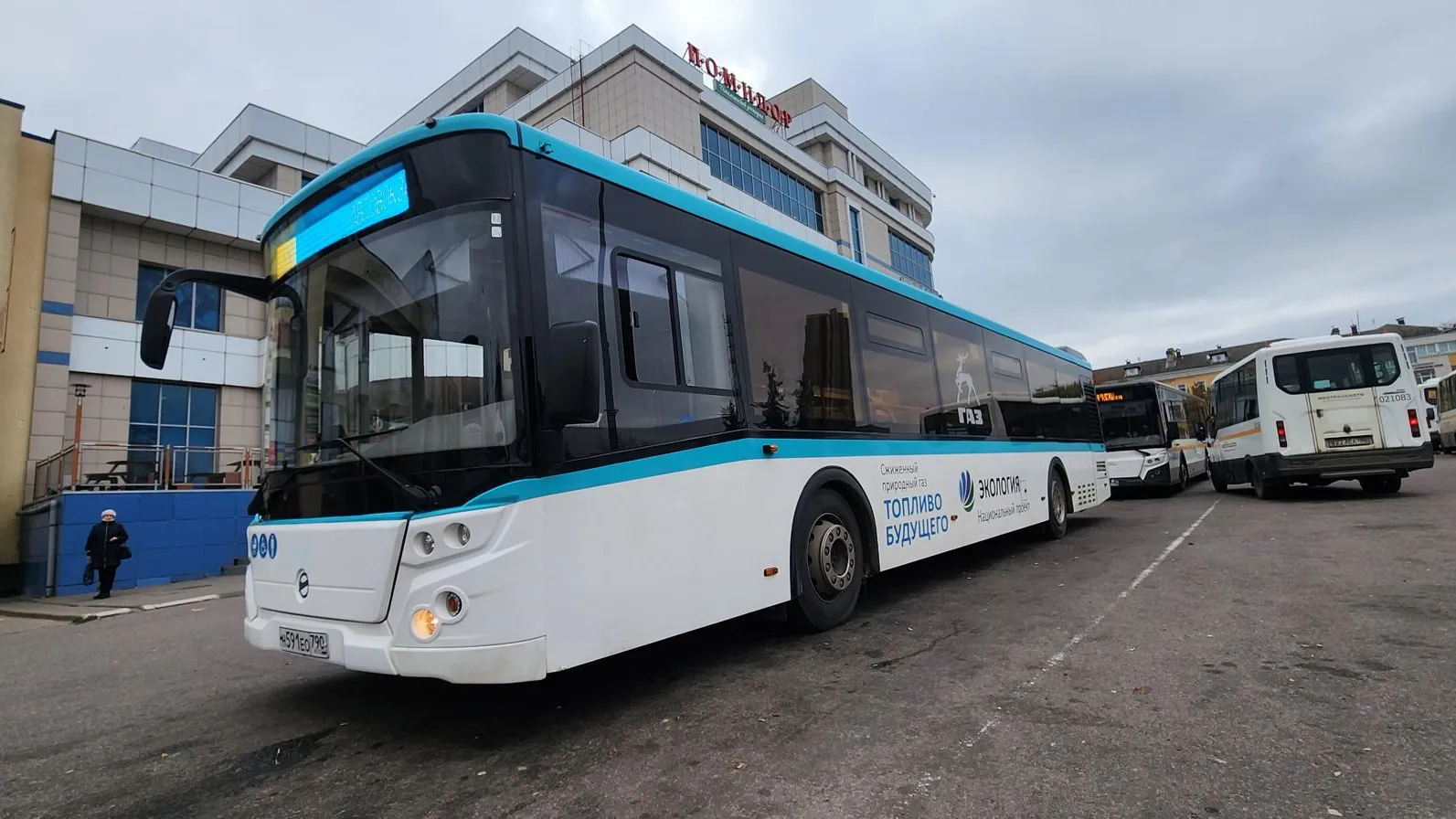 Марина Анисимова