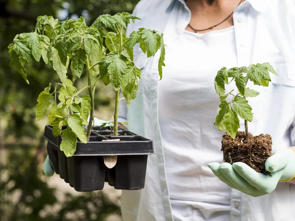 Фото: freepik.com